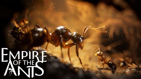 螞蟻巢|螞蟻帝國 Empire of ants 